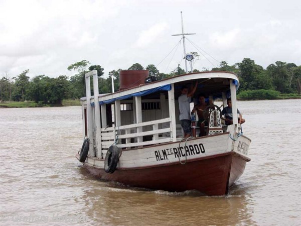cow-boat.jpg