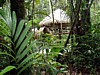 Jane's-Place-2.jpg