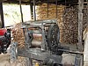 sugar-cane-1.jpg