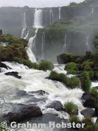 wild-water