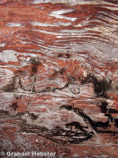 jsw_petra_-_062.jpg