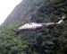 helicusco11