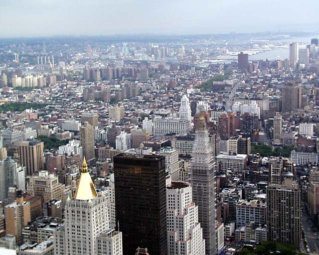 New York35