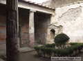 House-of-Tragic-Poet-01web