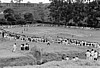 Kololo-005.jpg