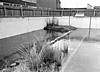 Colfox bio Pond.jpg